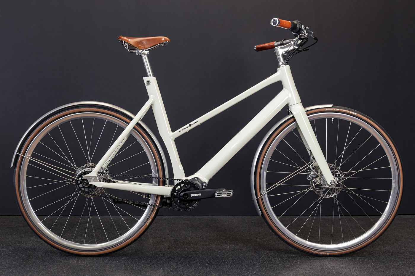 trekking e bikes Tesoro Neo X 2 StepThru - Mantis