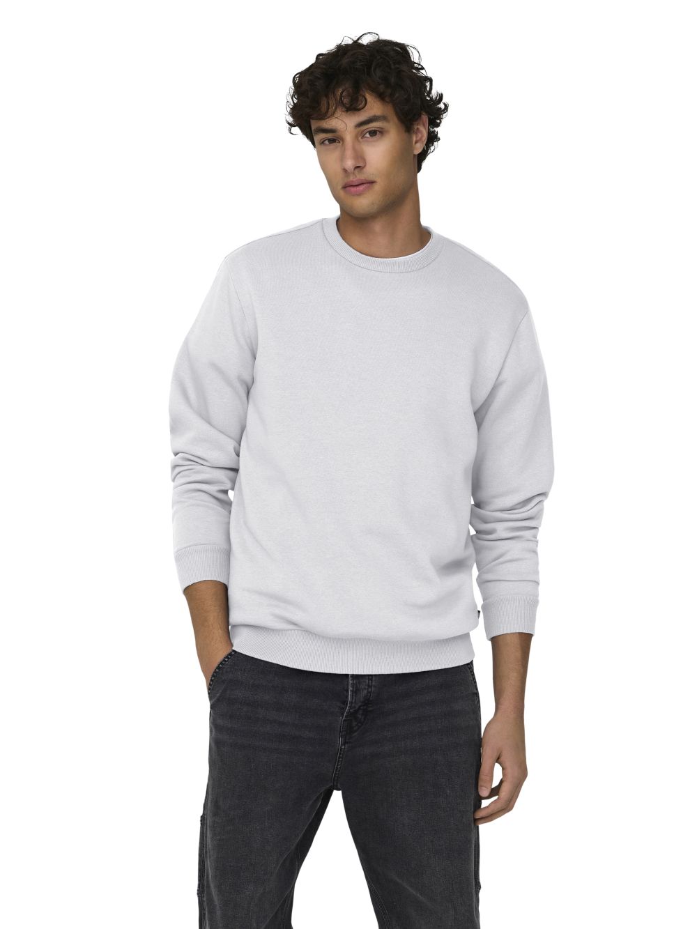 Only & Sons Herren Sweatshirt ONSCERES günstig online kaufen