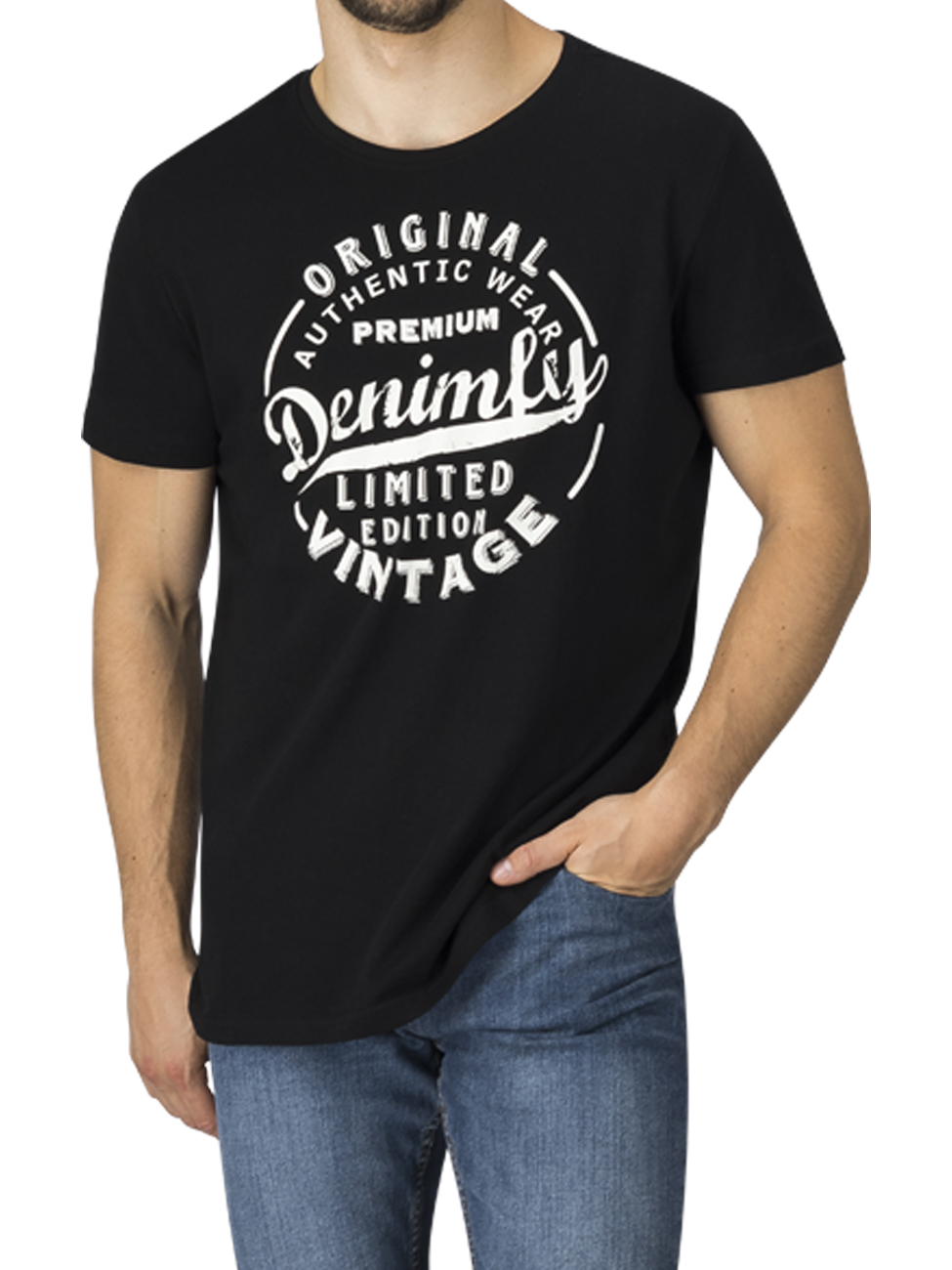 DENIMFY TShirt Herren Regular Fit DFNuri
