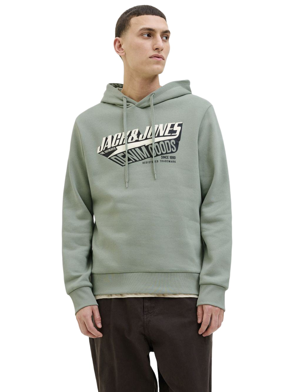 Jack & Jones Herren Hoodie Kapuzenpullover JJELOGO SWEAT HOOD 2 COL - Regular Fit