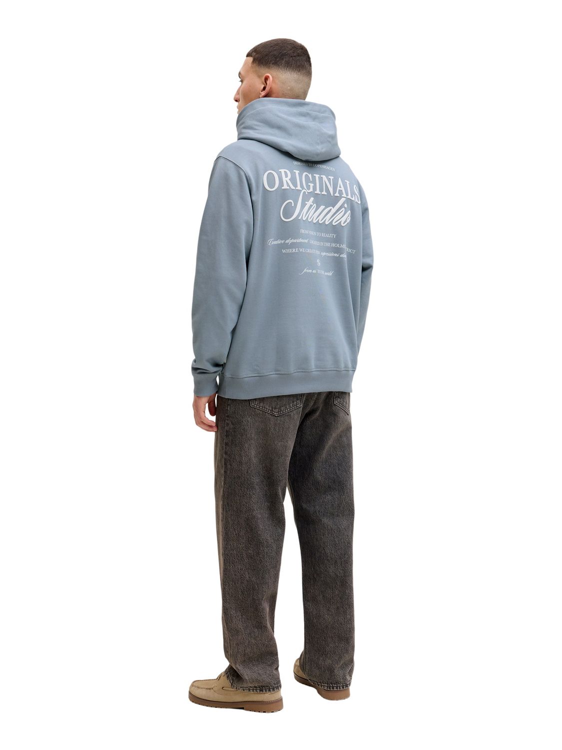 Jack & Jones Herren Hoodie Kapuzenpullover JORNORREBRO TYPO BACK SWEAT HOOD günstig online kaufen