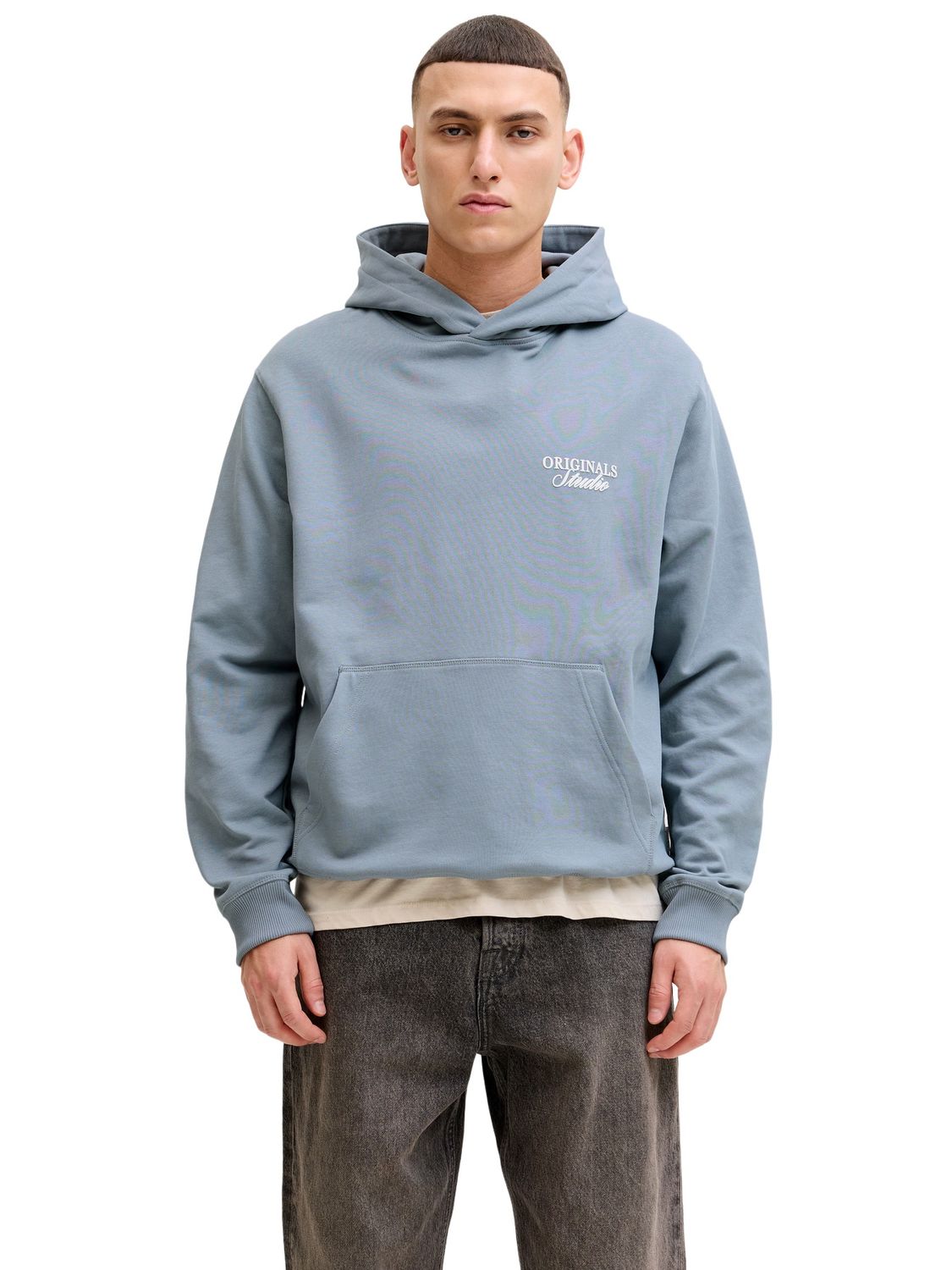 Jack & Jones Herren Hoodie Kapuzenpullover JORNORREBRO TYPO BACK SWEAT HOOD günstig online kaufen