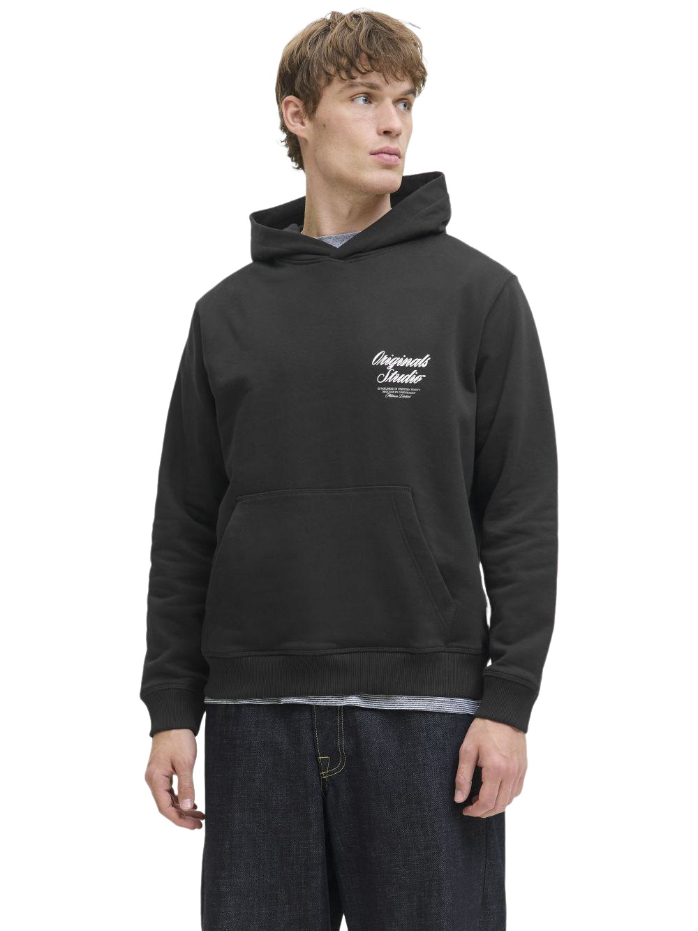 Jack & Jones Herren Hoodie Kapuzenpullover JORNORREBRO TYPO BACK SWEAT HOOD günstig online kaufen