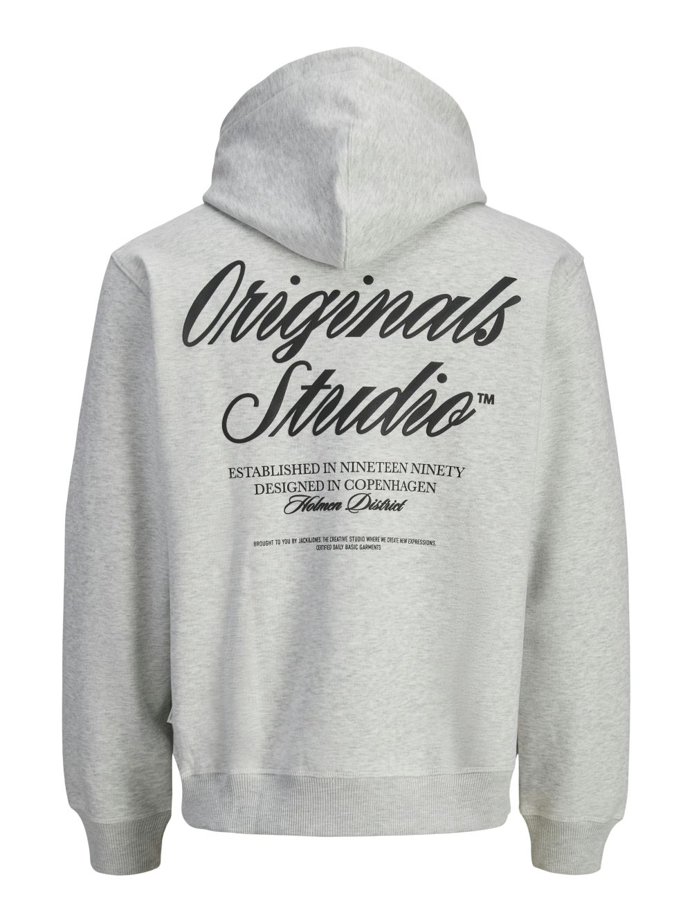 Jack & Jones Herren Hoodie Kapuzenpullover JORNORREBRO TYPO BACK SWEAT HOOD günstig online kaufen