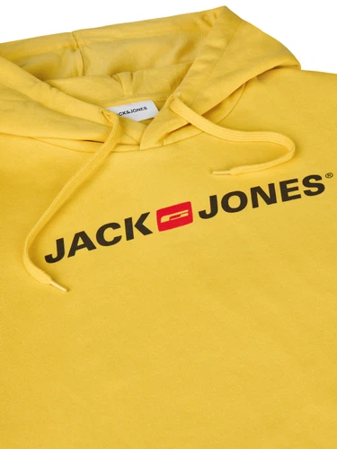 Jack & Jones Hoodie Herren mit Druck JJMORTY Regular Fit