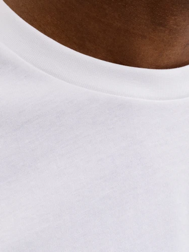 Jack & Jones Herren Rundhals T-Shirt JPRBLUCALEB SS - Regular Fit