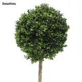 Buchskugel Buchsbaum Stamm Pflanze Bux Kugel Buxbaum Buchs 105cm 40cm  knstlich | Floral-Direkt