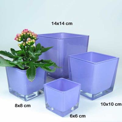 Glas Wrfel 8cm lila eckig Pflanzgef Pflanztopf Topf Vierkantgef  Blumentopf | Floral-Direkt