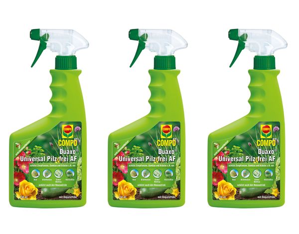 COMPO Duaxo Universal Pilz-frei AF 2,25l Blattfleckenpilze Pilz | eBay.de