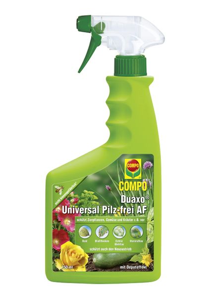Compo Duaxo Rosen Pilzfrei AF 750 ml Fungizid gegen Pilzkrankheiten  Zierpflanzen | eBay.de