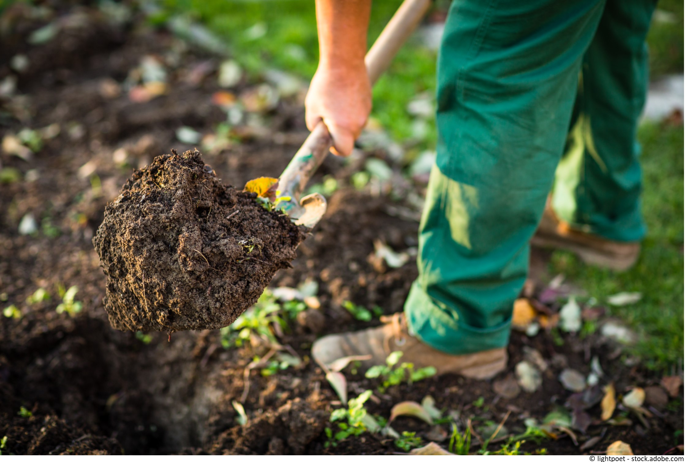 Der Garten im Mai Jetzt geht´s richtig los!