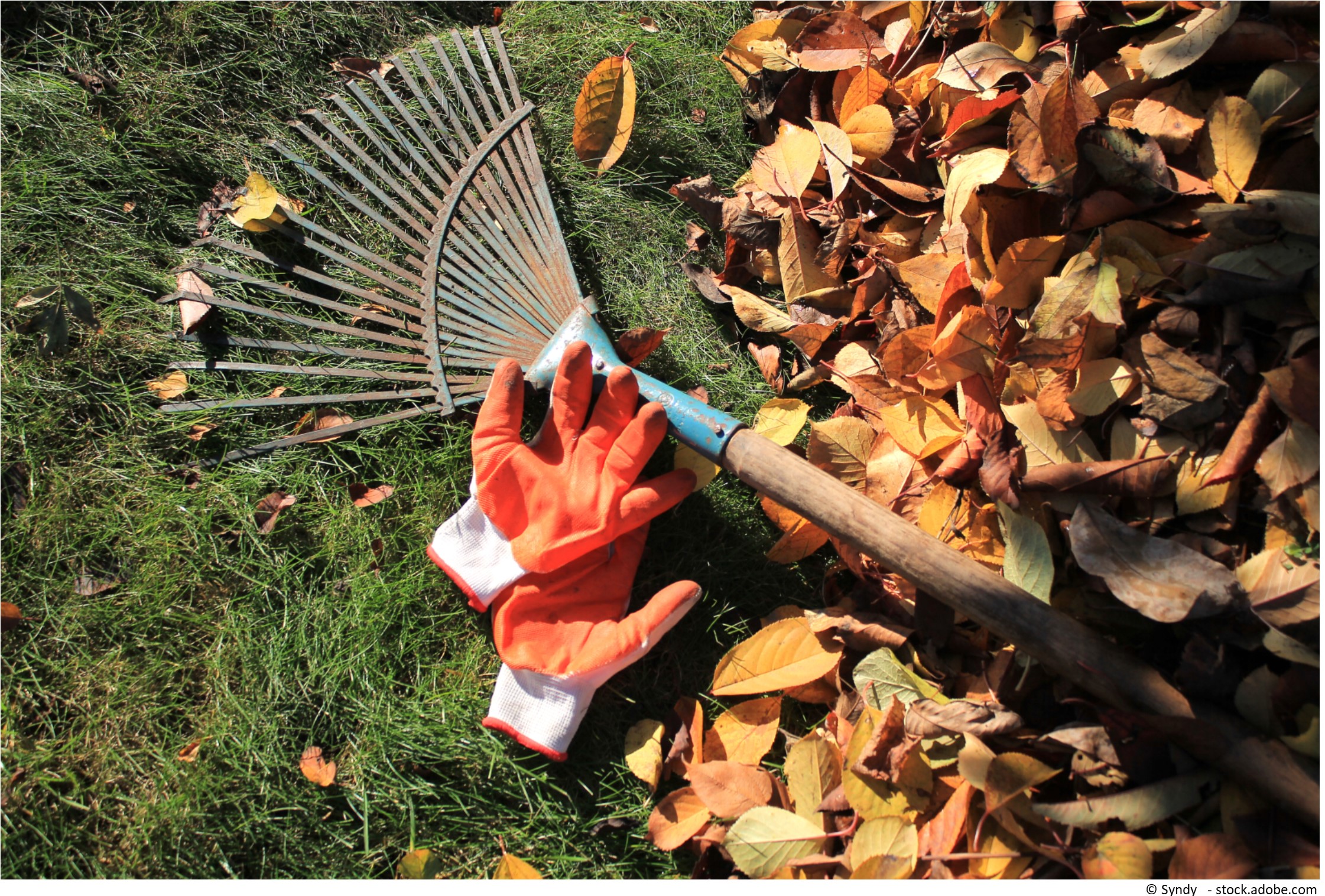 Der Garten im Oktober Ein letzter schöner Gartenmonat!