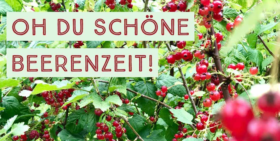 Johannisbeeren - Oh du schöne Beerenzeit