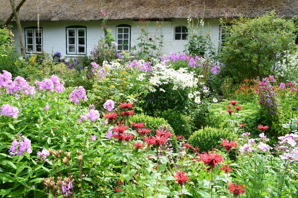 Bepflanzter Garten in der Blüte