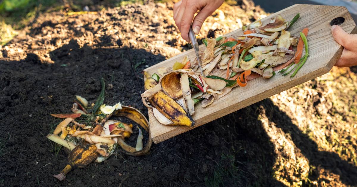 Kompost wird mit Obst- und Gemüseabfällen aufgefüllt