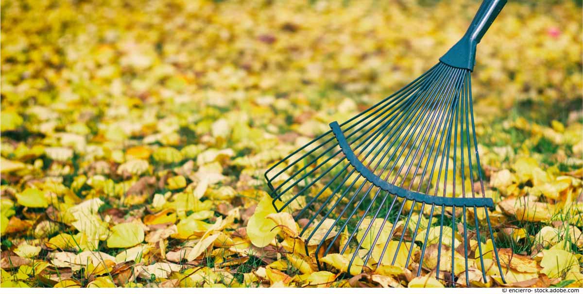 Laub im Garten zusammen rechen