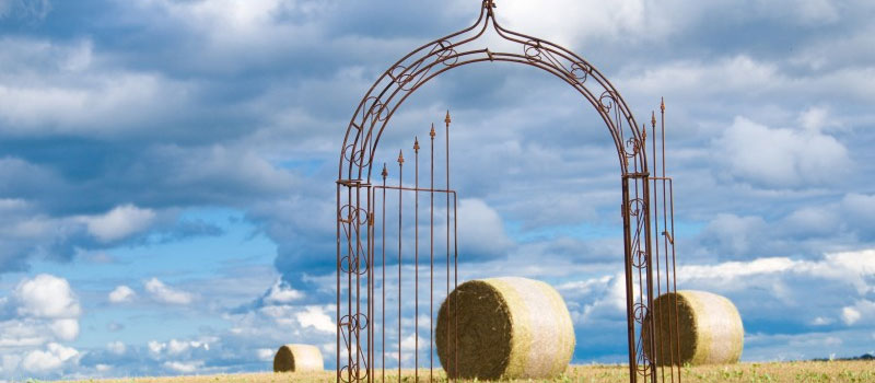 Rosenbogen aus Metall mit Tor Rosenbogen mit Tor auf einer Wiese mit Strohballen