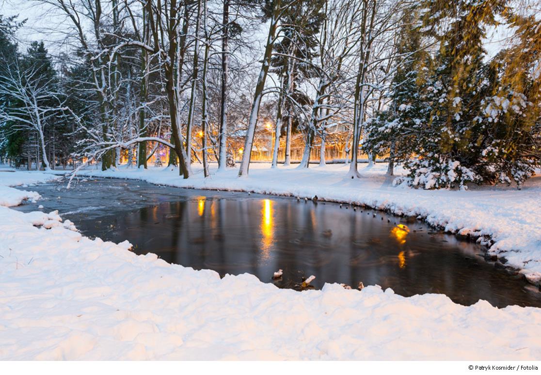 Der Gartenteich im Winter Tipps zu Pflege und Dekoration