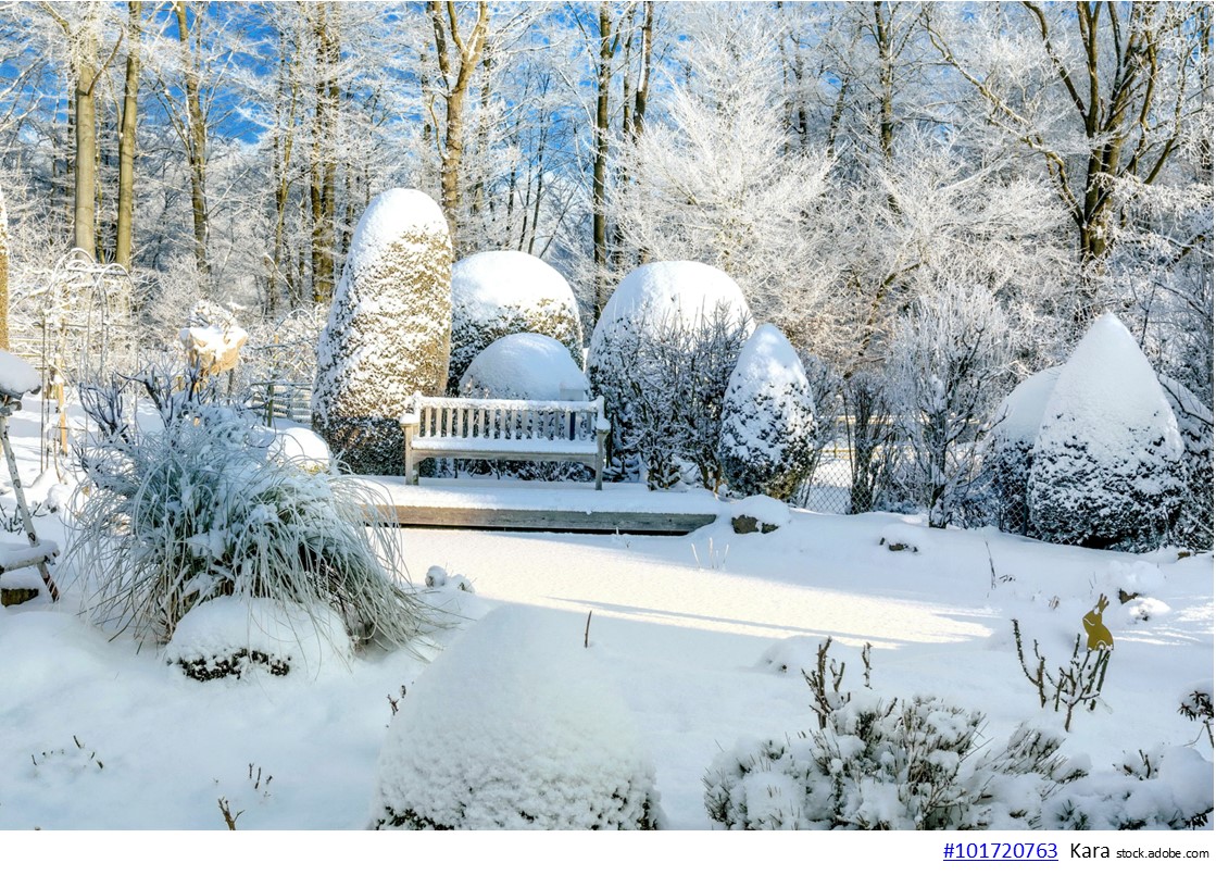 Der Garten im Januar: Was Sie jetzt im Ziergarten erledigen können