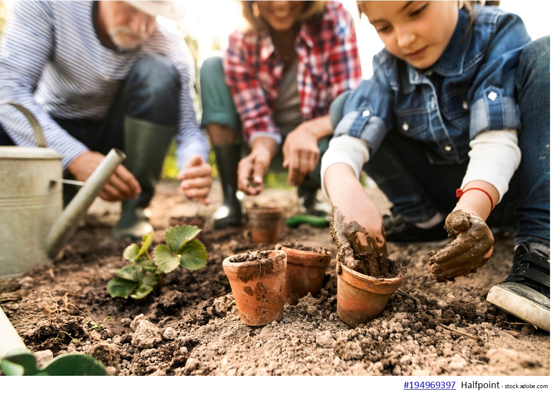 Gartenarbeiten im März: Weichen für die Entwicklung des Gartens stellen