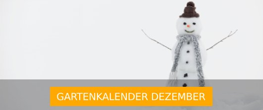 Gartenkalender Dezember