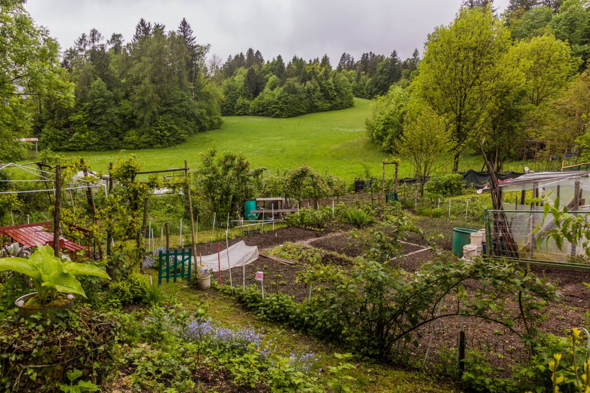 In unterschiedliche Sektionen eingeteilter Gemüsegarten