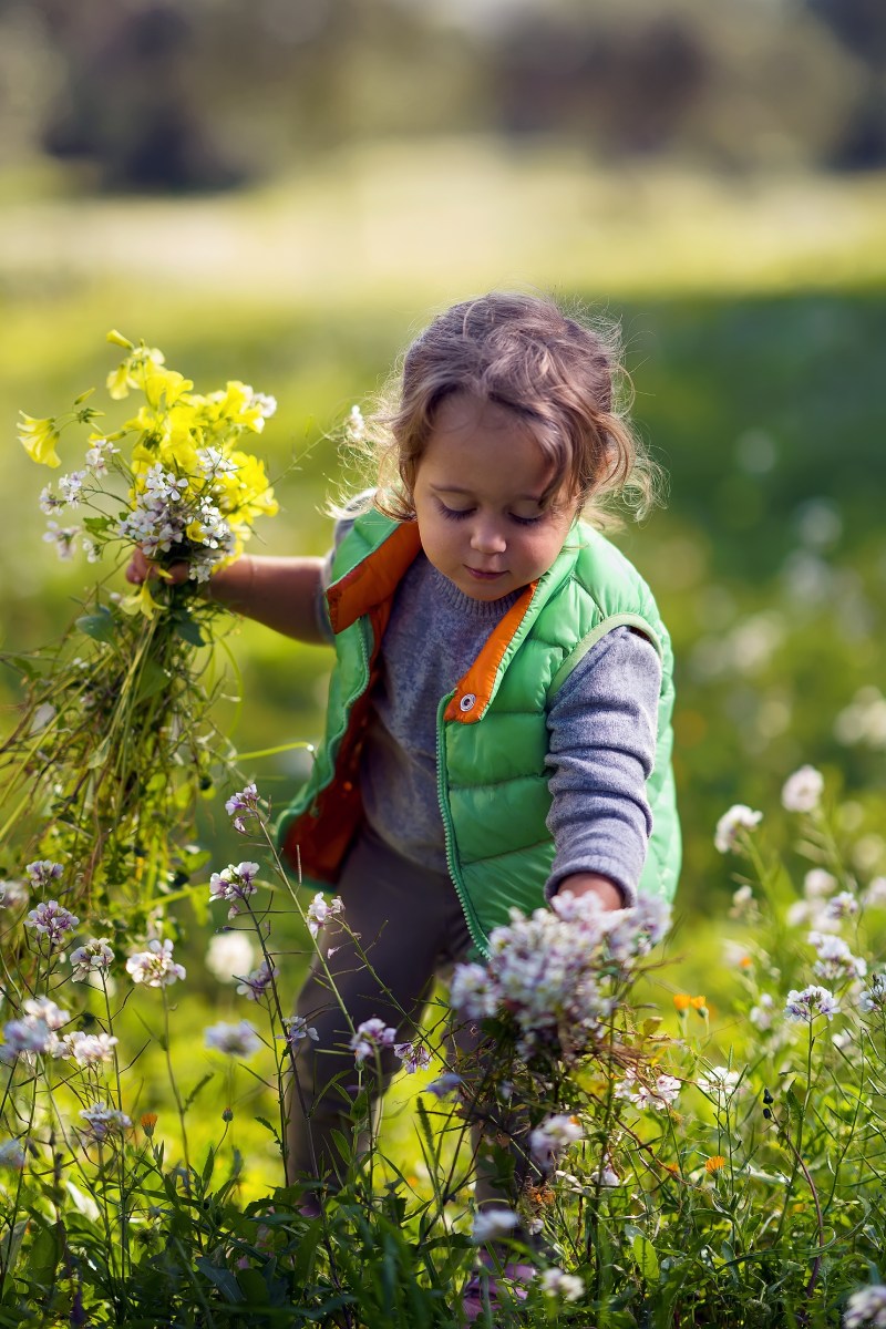 kleines Kind pflückt Blumen in Blumenwiese
