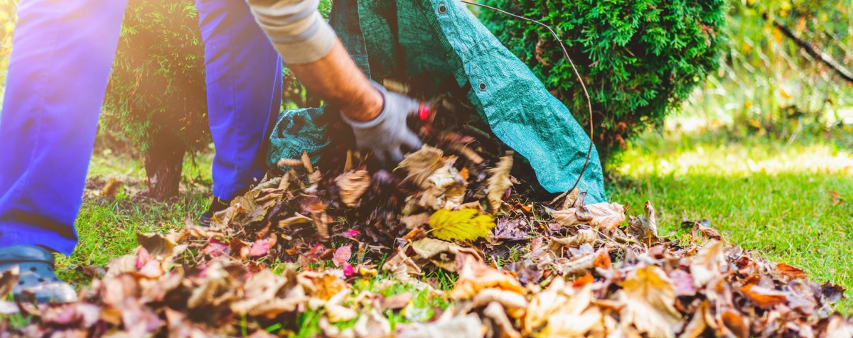 Laub sammeln und kompostieren