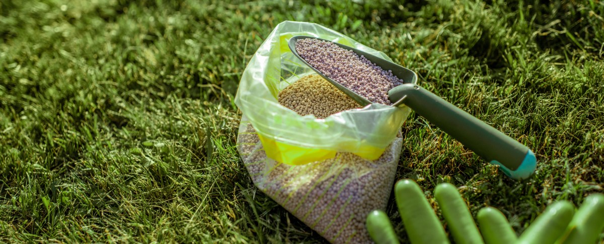 Rasenpflege Granulat
