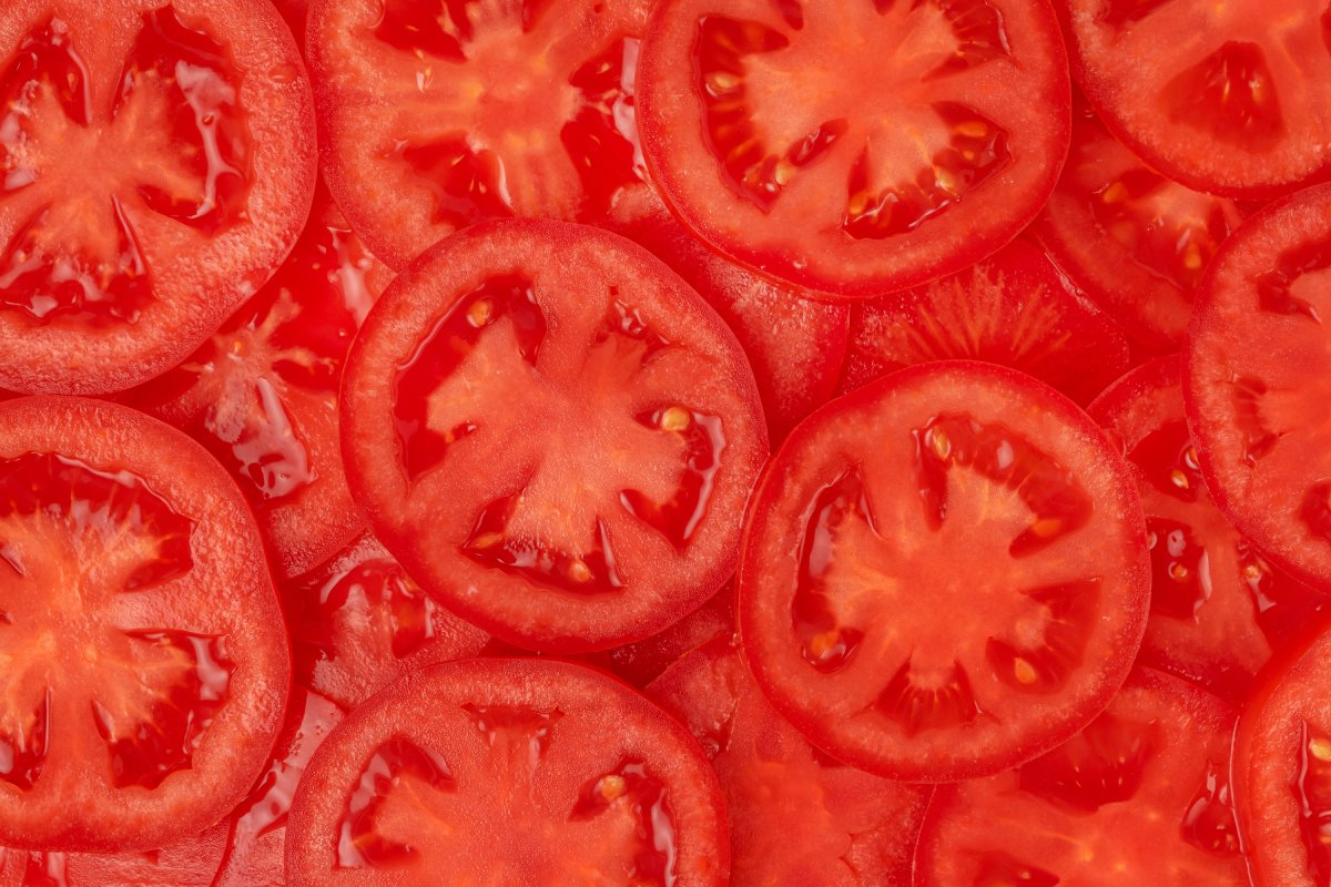 aufgeschnittene Tomaten für Gewinnung von Samen