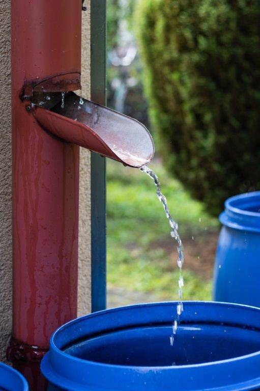 Regenwasser in einer Regentonne sammeln