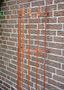 Rankgitter HALBRUND f. Wand 180 cm, Rost