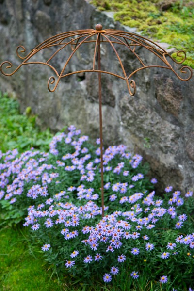 Rankschirm Rost