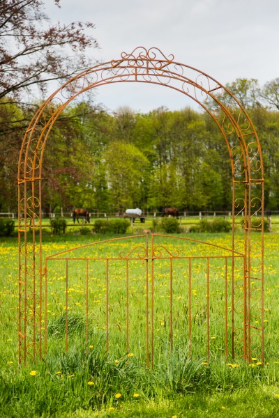 Rosenbogen B: 200cm Rost mit Türen / Tor Vierkanteisen