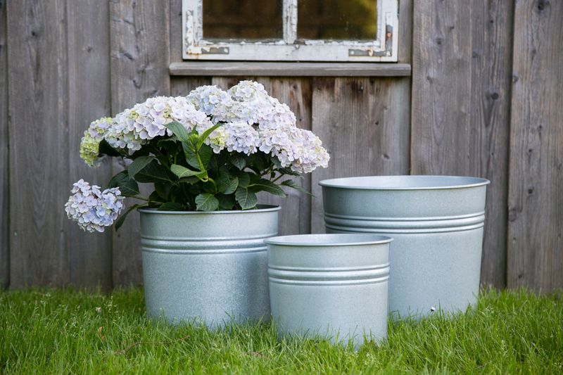 deko blumenständer metall Blumenständer, Metall, weiß – Herznah