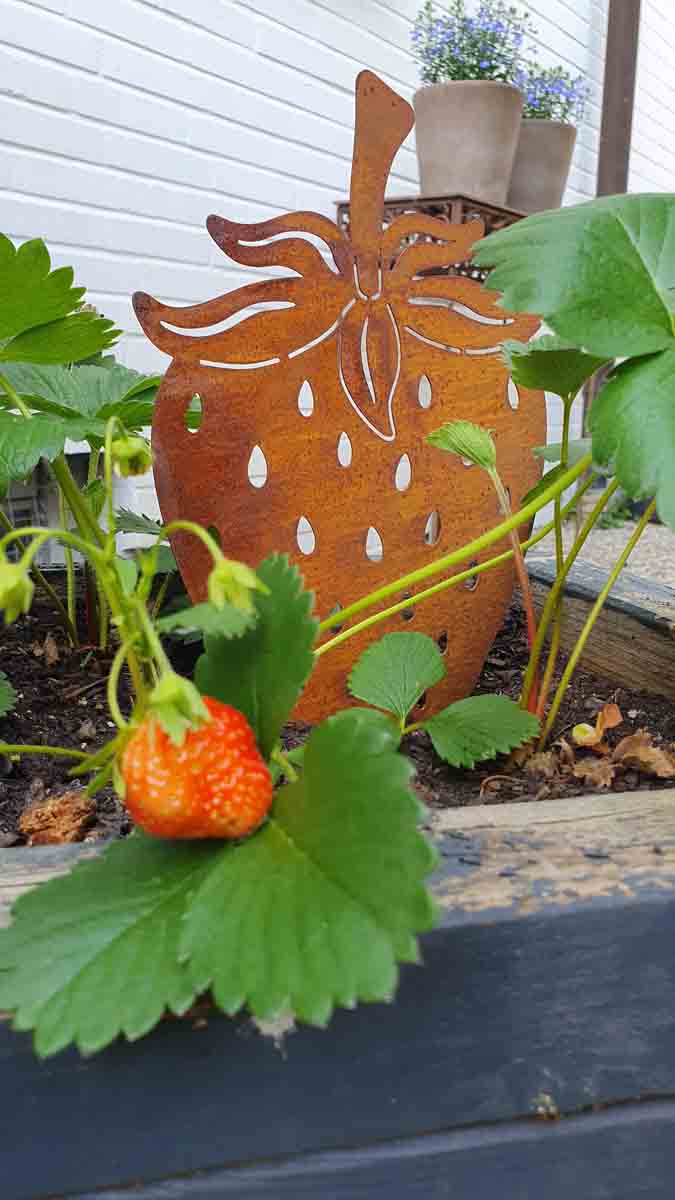 Deko Garten KUHEIGA Gartenstecker Kaktus Aus Metall, Edelrost-Optik  Hhe  40 Cm + 18 Cm Stab Metall Gartenstecker Edelrost