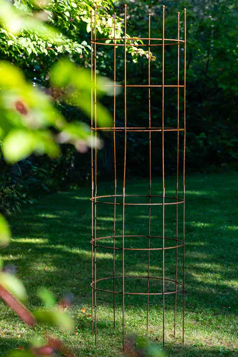 Ranksäule Für Kletterpflanzen - Metall Rankhilfe Schirm