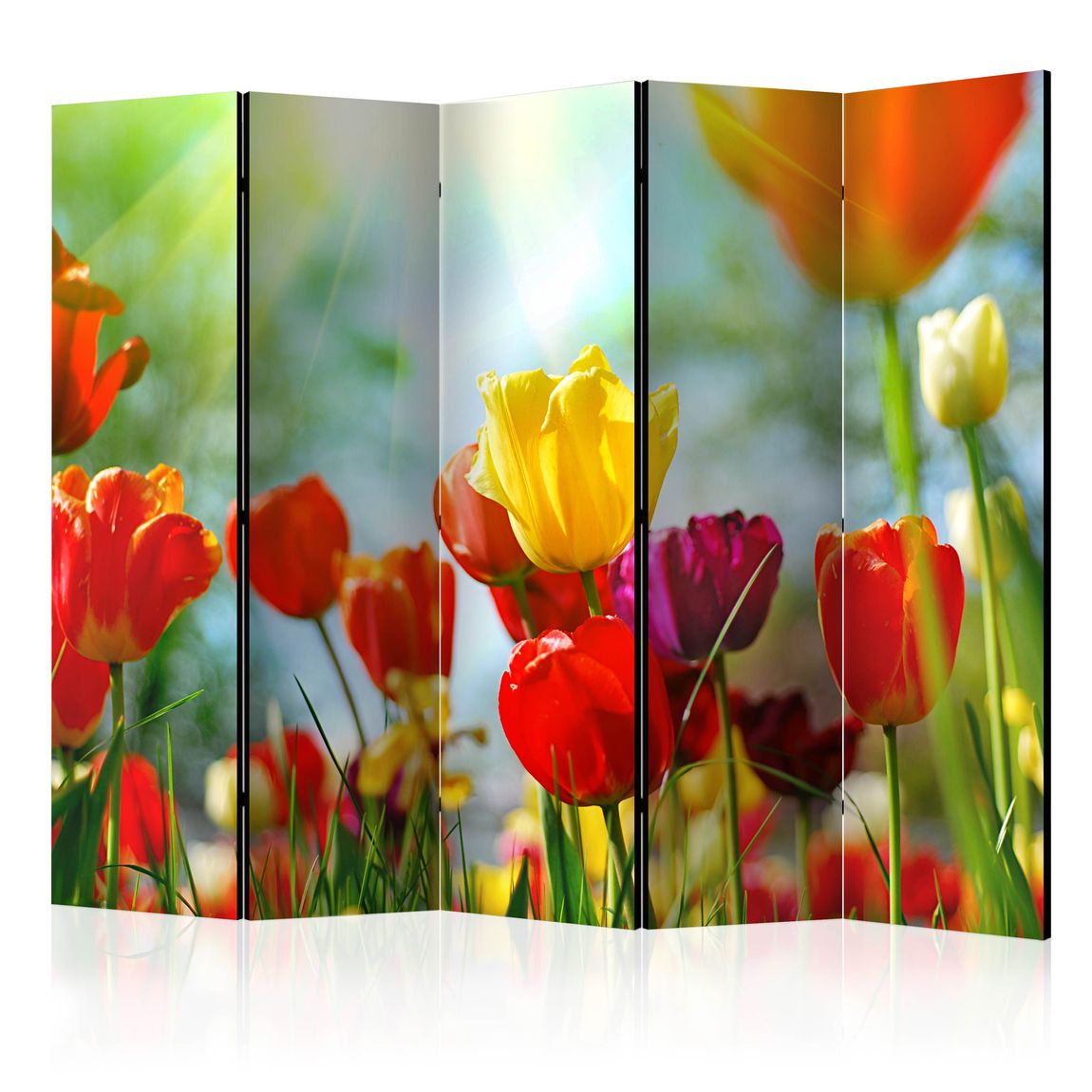 5-teiliges Paravent - Spring Tulips II [Room Dividers] 225x172 cm