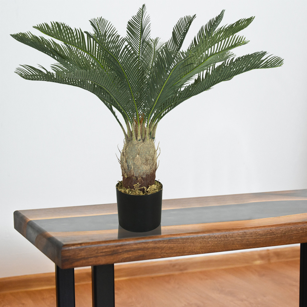 Knstliche Pflanze Cycas Palme Kunstpflanze Plastikpflanze 80 cm Decovego |  eBay.de