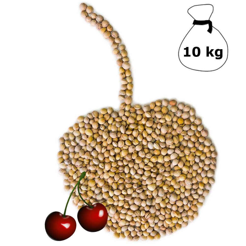 Noccioli di ciliegia Imbottiture per cuscini naturali cervicale, mal  schiena 10 kg DML | Ceres Webshop