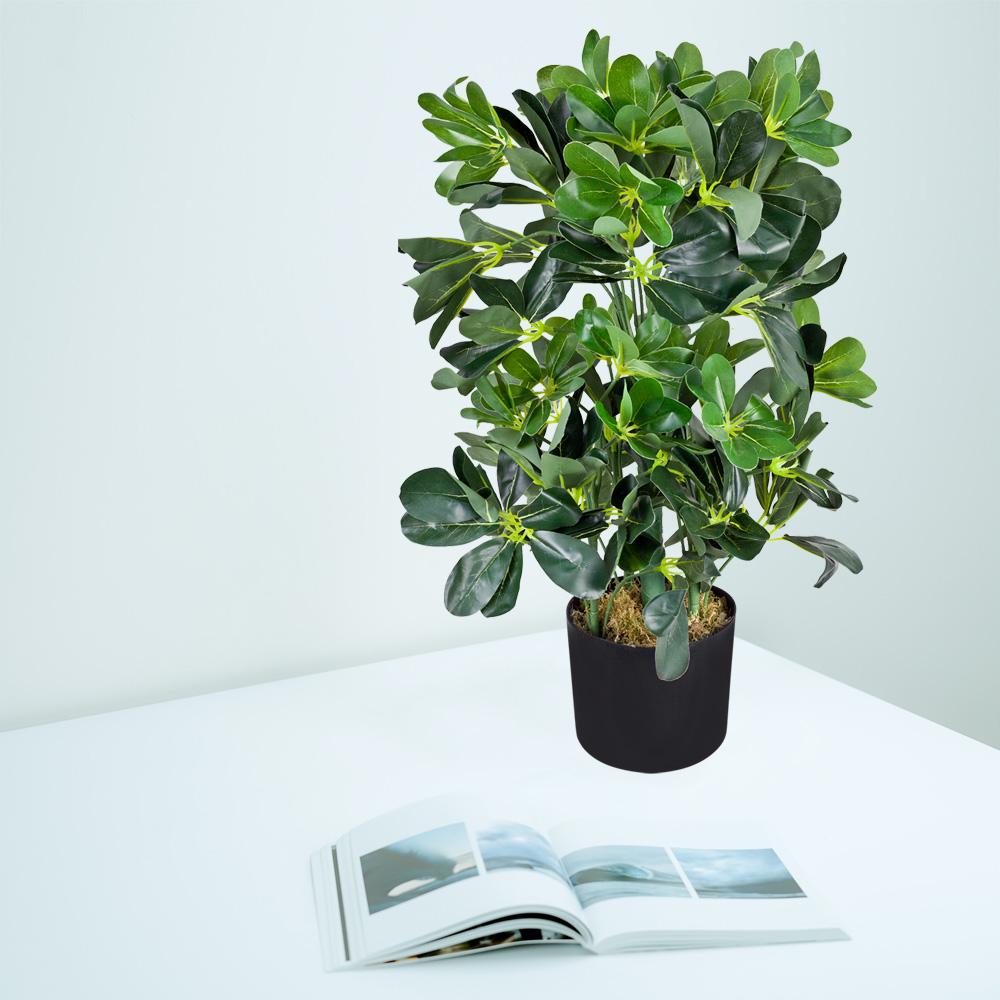 Künstliche Zimmerpflanze Schefflera Aralia Kunstpflanze Kuenstliche Pflanze Stahlenaralie 60 Cm Decovego S072p0bv