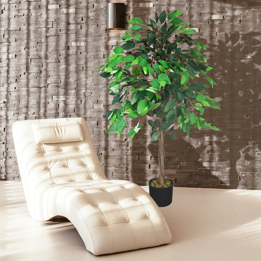 Ficus Benjamin Birkenfeige Knstliche Pflanze mit Echtholz 110cm Decovego |  eBay.de