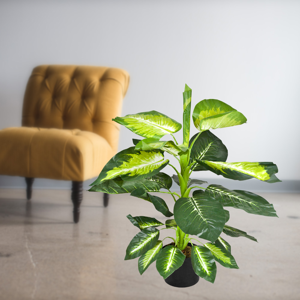 Dieffenbachia Artificial Plastic Foliage Plant 75 cm Indoor Decovego |  plentyShop LTS