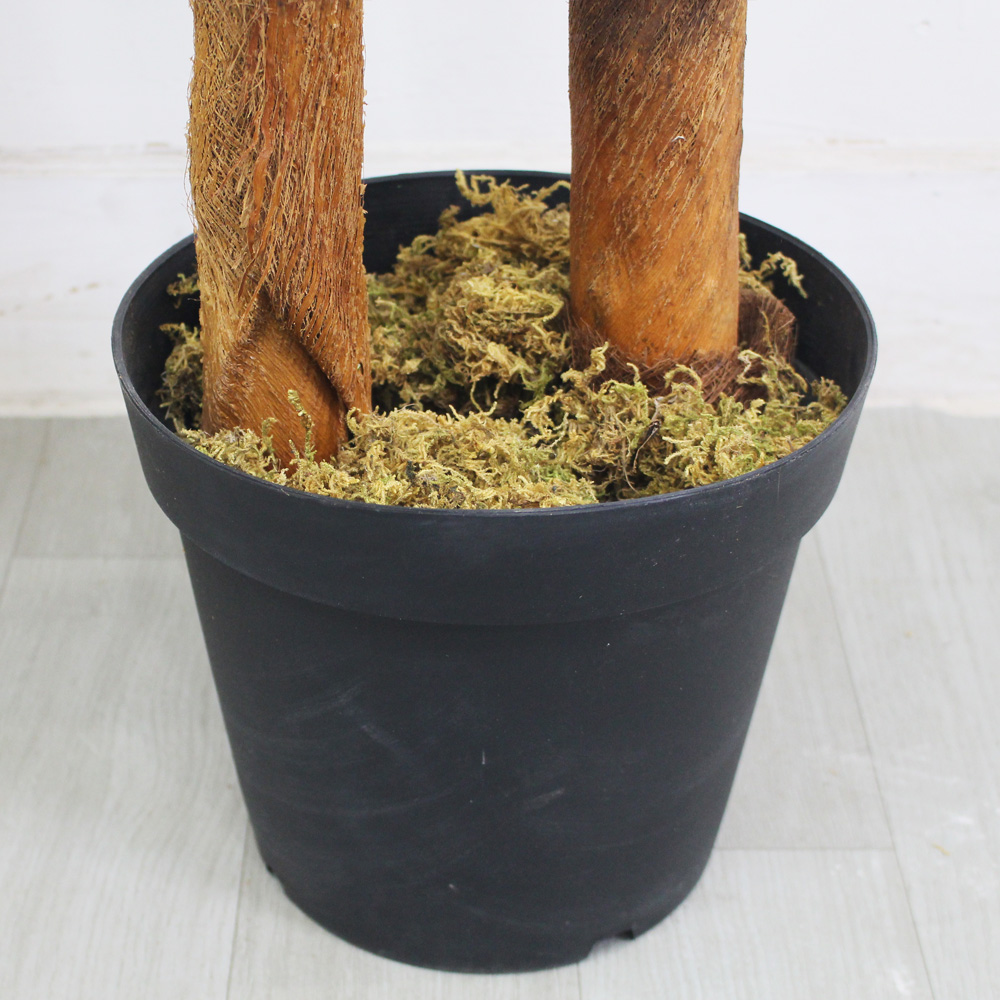 Palmenbaum Kokos Palme Kunstpflanze Knstliche Pflanze Echtholz 170cm  Decovego | eBay.de