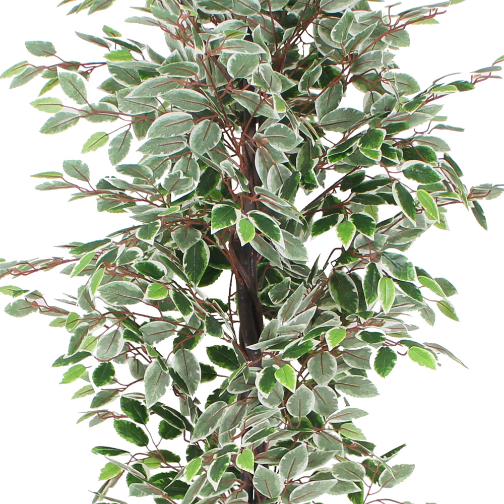 Weier Ficus Benjamin Birkenfeige Kunstpflanze Baum Knstlich 180cm  Decovego | eBay