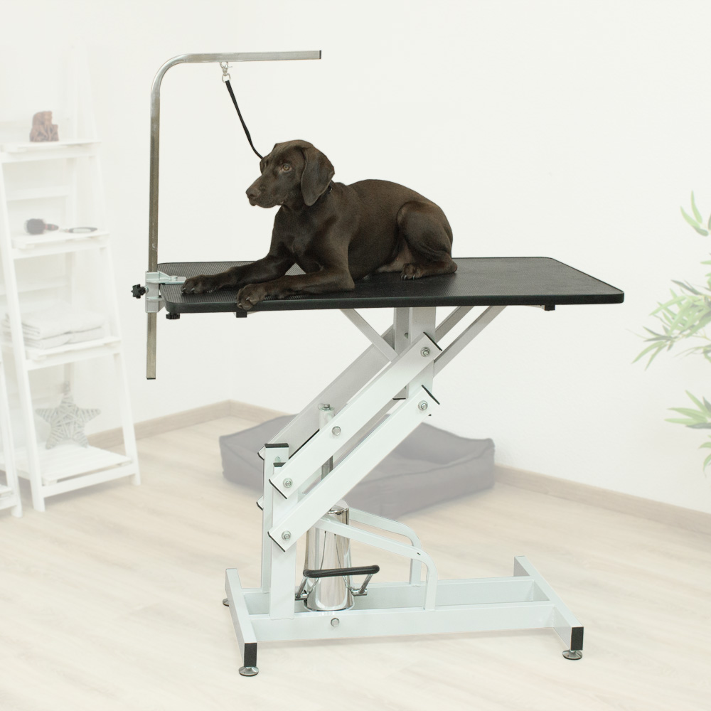 dog clipping table