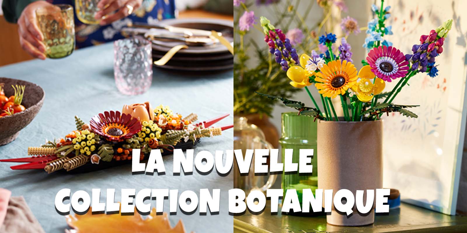 Botanical Collection