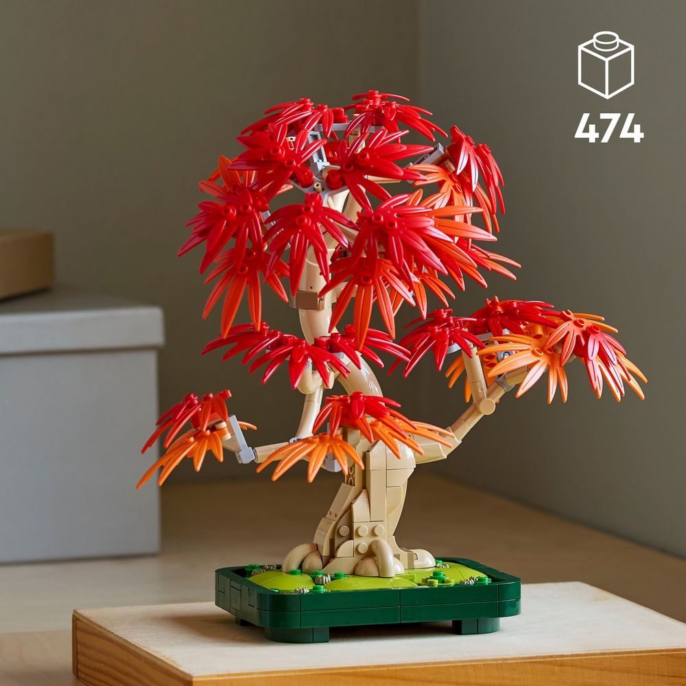 sweet gum bonsai tree Black Tupelo Bonsai Tree – Bella Bonsai Nursery main image 0
