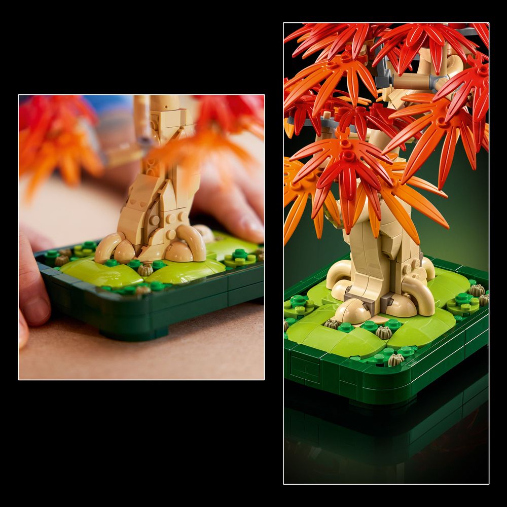 LEGO 10348 Japanischer Roter Ahorn  Bonsai-Baum | JB Spielwaren
