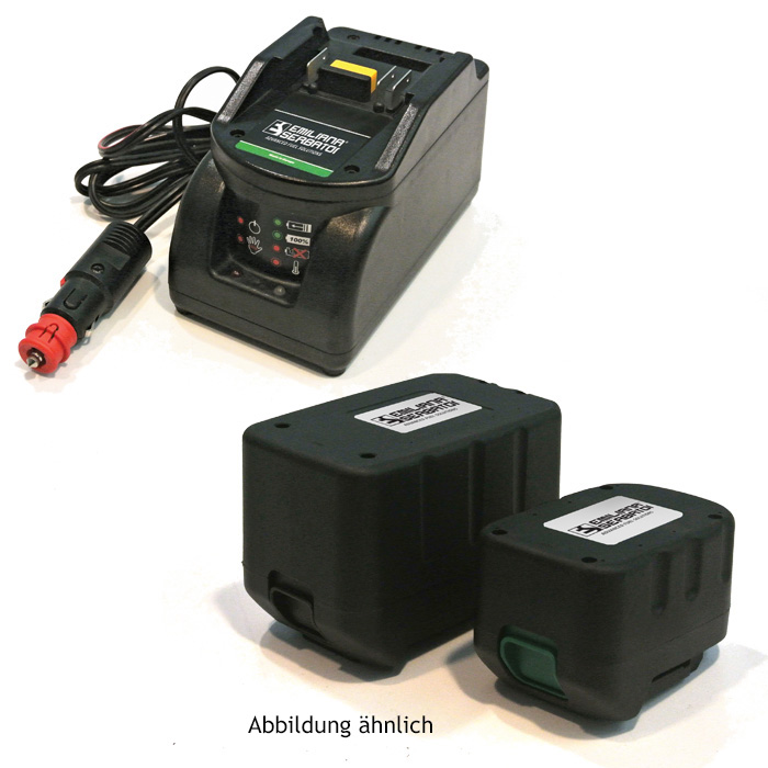 Ladegerät Für Sprühgeräte 12V 8A - Lithium-Akku Lader Für Gartenspritzen & Reinigung